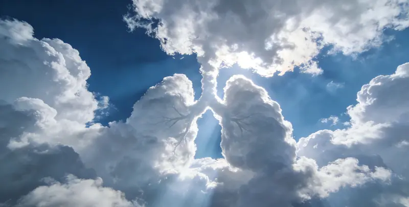 乌鲁木齐肺癌13基因突变检测（组织）图片1