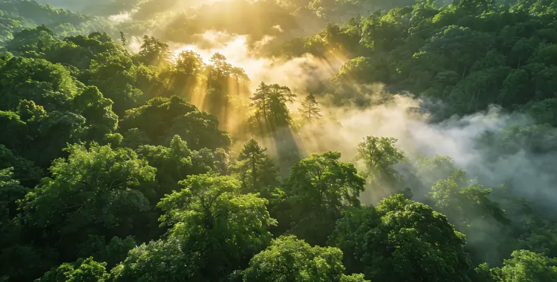 乌鲁木齐肺癌120基因ctDNA突变检测(血液）图片1