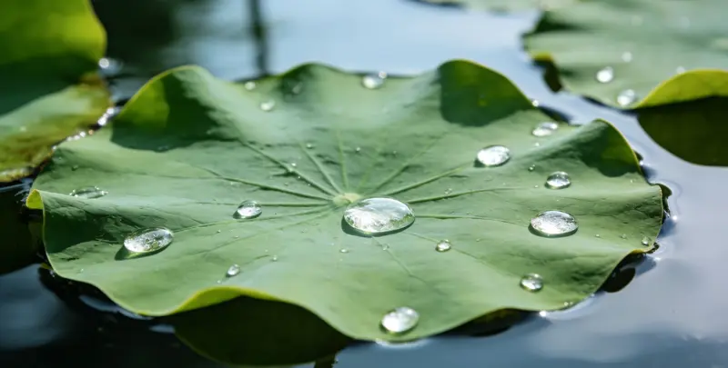 乌鲁木齐乳腺癌21基因mRNA表达分析图片1