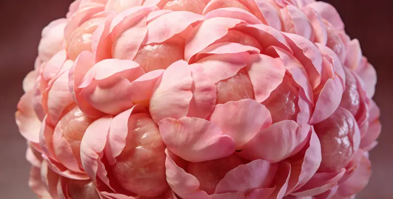 乌鲁木齐BRCA1/2乳腺癌卵巢癌基因检测图片1